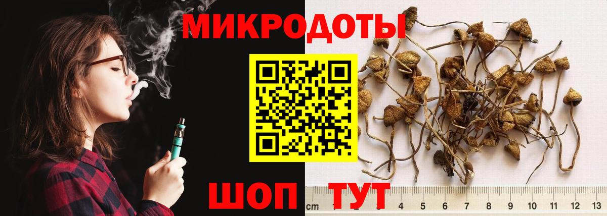 Псилоцибиновые грибы мухоморы  Вход с VPN  Нижний Новгород  Галлюциногенные грибы GOLDEN TEACHER 